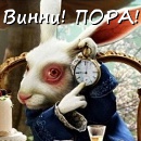 Аватара пользователя